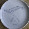 rudolf-kurz-evolution-plate-drawing