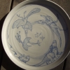 rudolf-kurz-plate-drawing-evolution