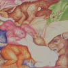rudolf-kurz-puzzle