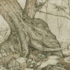 Early-Spring