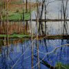 Beaver-Dam-3