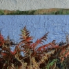 The Far Shore