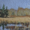 Wetland