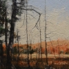 rudolf-kurz-swamp-4-early-light-spring