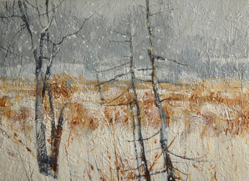 Rudolf-Kurz-Swamp-2-snow-storm - Rudolf